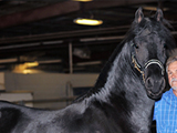 Warhorse Klaas, Improvement Stallion owned by Beverly McGowan.